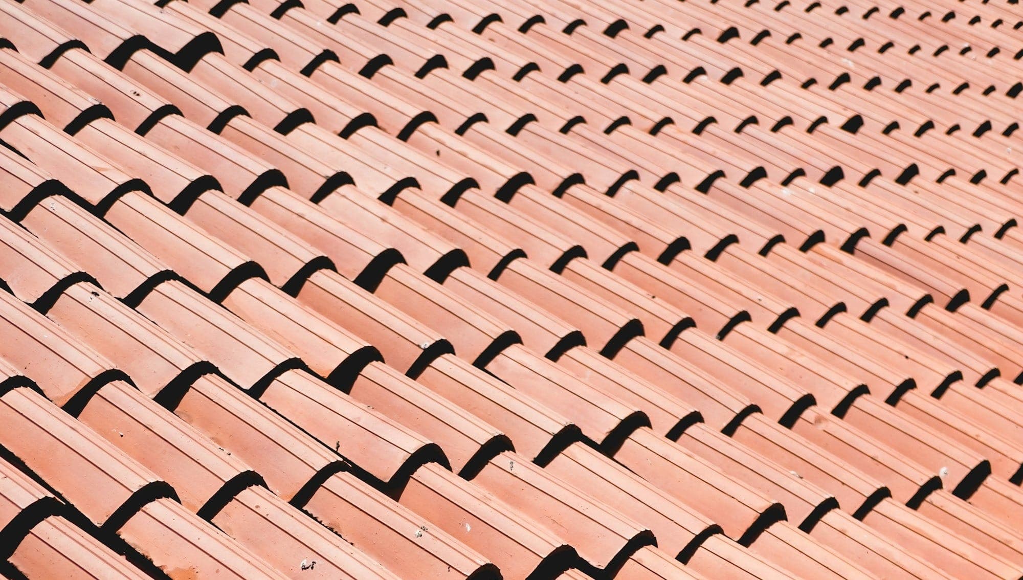 photo-1528223871781-8f4c984f6164