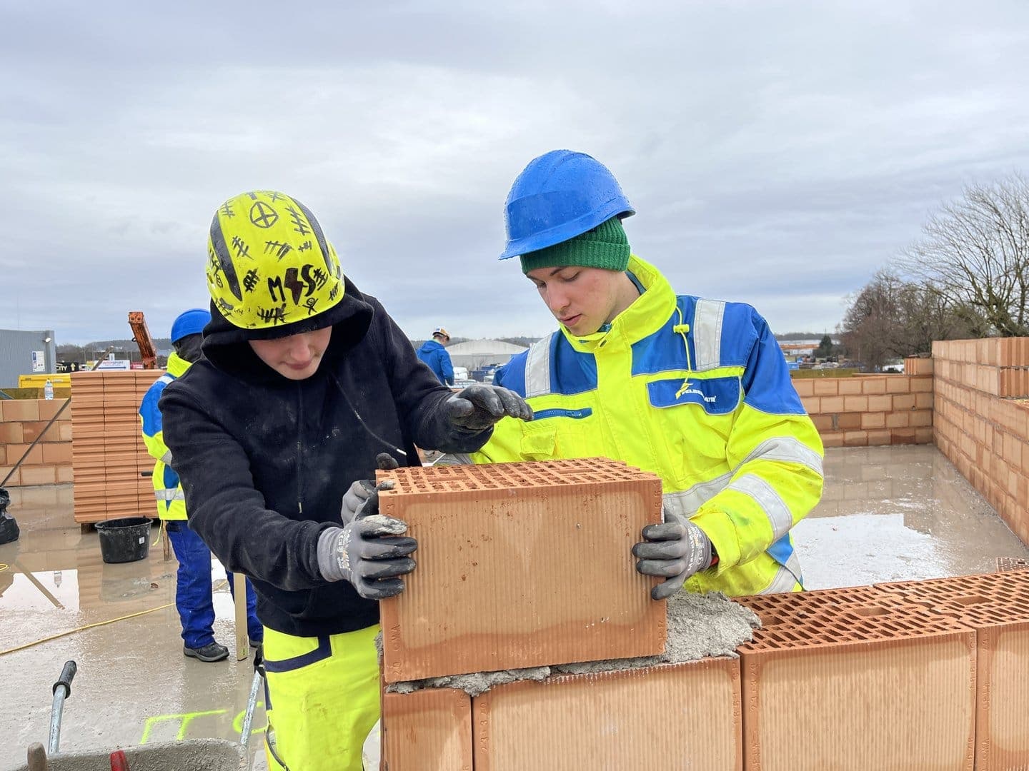 504d2366-c6f9-46e3-8815-203c23698950